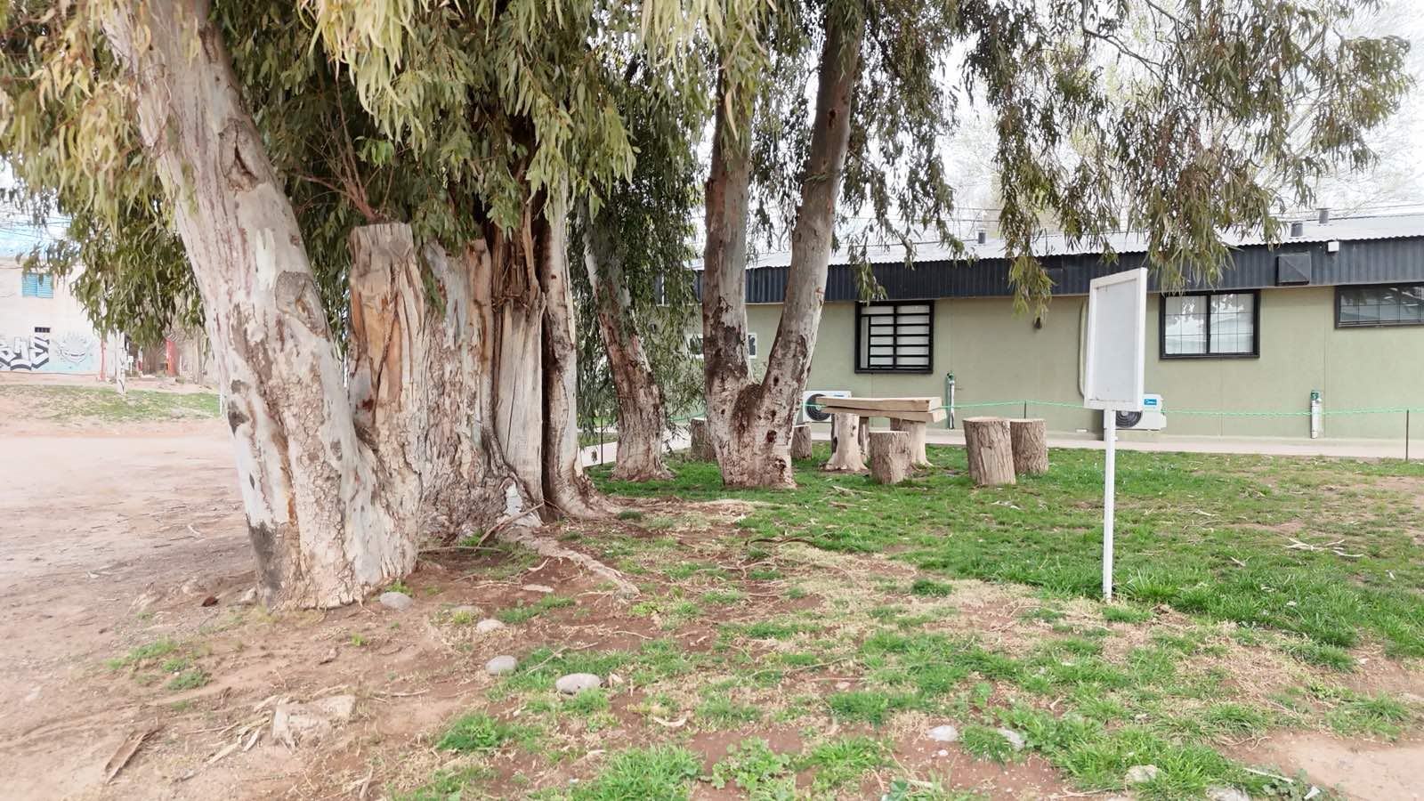 Área de descanso bajo los eucaliptos, con mesa y banquetas de troncos junto al sector de casas